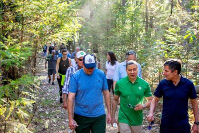 Wine & Wellness Tour in Napa Valley