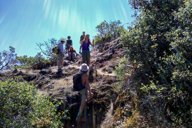 Wine & Wellness Tour in Napa Valley - What the $499 price really covers