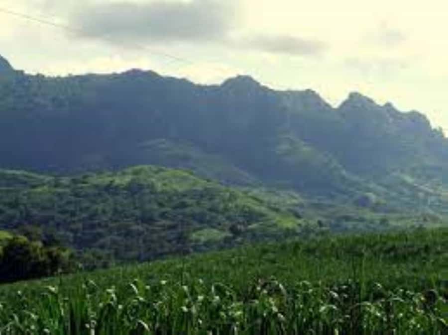 Zipline, Cave, Seaview & Mud Spa Tour with Lunch Included - What to bring and who should skip it